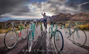 Bike Roundup Steve Patchin